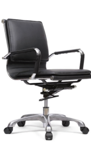 Double Cushion (Medium Back)