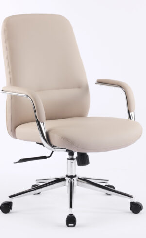 Discovery (Medium Back)